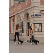 Kentucky Collier pour Chien Soft Vegan Leather Marin/Beige Kentucky Collier pour Chien Soft Vegan Leather Marin/Beige