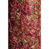 Grooming Deluxe by Kentucky Relax Horse Toy Wooden De-Stress Grooming Deluxe by Kentucky Relax Horse Toy Wooden De-Stress