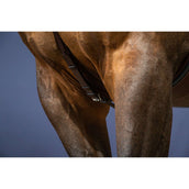 Dyon Collier de Chasse Bridge New English Collection Marron Dyon Collier de Chasse Bridge New English Collection Marron