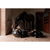 Grooming Deluxe by Kentucky Filet Anti-Glouton Play & Haybag Round Grooming Deluxe by Kentucky Filet Anti-Glouton Play & Haybag Round