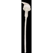 Kentucky Pompe Shampoo Almond Kentucky Pompe Shampoo Almond