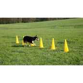 Kerbl Agilité Set Pylône 3 obstacles Rouge/Jaune Kerbl Agilité Set Pylône 3 obstacles Rouge/Jaune