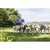 Ako Électrificateur SunPower S2400 Smart 12V Ako Électrificateur SunPower S2400 Smart 12V