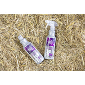 Magic Brush Shampooing OrientalNights Magic Brush Shampooing OrientalNights