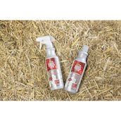 Magic Brush Shampooing FrenchKiss Magic Brush Shampooing FrenchKiss