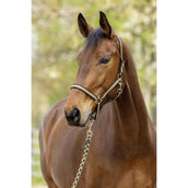 Covalliero Licol SS26 Noir/Noix Covalliero Licol SS26 Noir/Noix