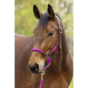 Covalliero Licol SS26 Light Berry Covalliero Licol SS26 Light Berry