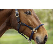 Covalliero Licol SS26 Foncé Marine Covalliero Licol SS26 Foncé Marine