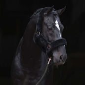 Covalliero Licol SuperSoft Noir Covalliero Licol SuperSoft Noir