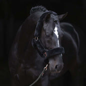 Covalliero Licol SuperSoft Noir Covalliero Licol SuperSoft Noir