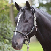 Kerbl Licol Cordano Olive Kerbl Licol Cordano Olive