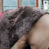 Kentucky Couverture de Concours velours 160g Bordeaux Kentucky Couverture de Concours velours 160g Bordeaux