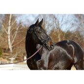 Kieffer Caveçon Utrasoft Noir Kieffer Caveçon Utrasoft Noir