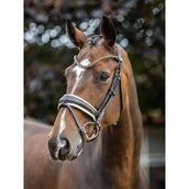 LeMieux Bride Kudos Patent Dressage Marron/Blanc LeMieux Bride Kudos Patent Dressage Marron/Blanc