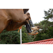 LeMieux Eventing Boots MIMsafe Arrière Noir LeMieux Eventing Boots MIMsafe Arrière Noir