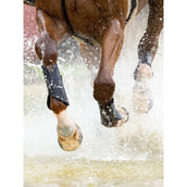 LeMieux Guêtres MIMsafe XC Front Noir LeMieux Guêtres MIMsafe XC Front Noir