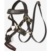 LeMieux Toy Pony Mexican Bride Marron LeMieux Toy Pony Mexican Bride Marron