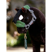 LeMieux Ensemble Licol Toy Pony Vogue Hunter Green LeMieux Ensemble Licol Toy Pony Vogue Hunter Green