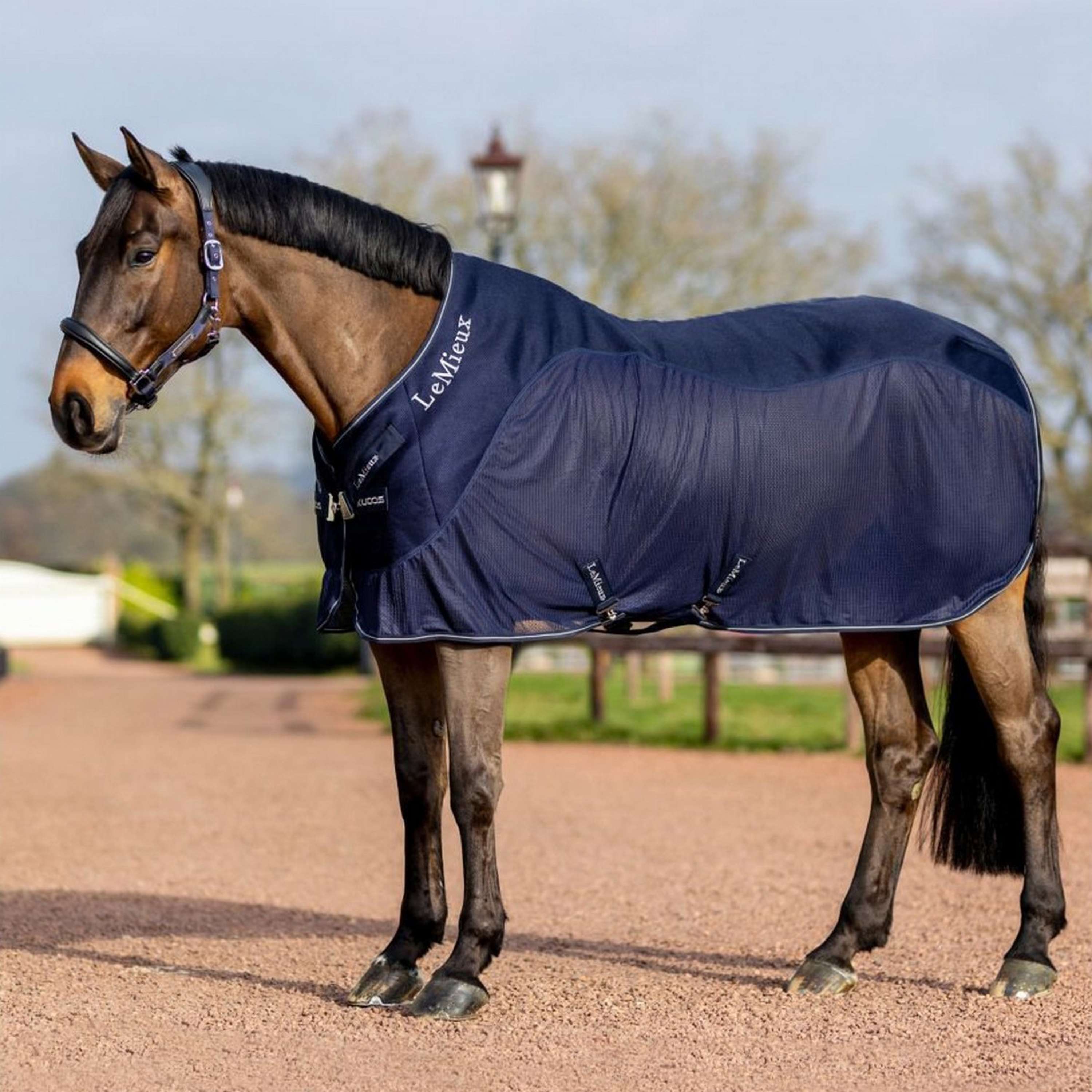 Acheter une couverture de transport pour cheval : Protection Acheter une couverture de transport pour cheval : Protection