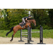 Pikeur Pantalon d'Équitation Rodrigo Poignée Genou Gents Beige Pikeur Pantalon d'Équitation Rodrigo Poignée Genou Gents Beige