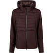 Marron chocolat