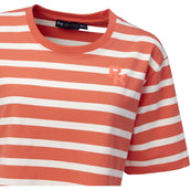 PK International T-Shirt Dalmore Coton Papaya PK International T-Shirt Dalmore Coton Papaya