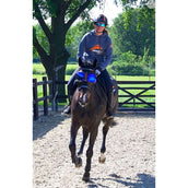 eQuick Des Lunettes eVysor Miroir Bleu eQuick Des Lunettes eVysor Miroir Bleu