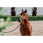 Red Horse Ensemble Licol Akira Holographic Red Horse Ensemble Licol Akira Holographic