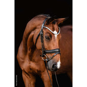 Schockemöhle Bridon SP Isabell Werth Johnny Noir/Argent Schockemöhle Bridon SP Isabell Werth Johnny Noir/Argent