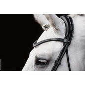 Schockemöhle Bridon SP Isabell Werth Satchmo Noir/Patent/Argent Schockemöhle Bridon SP Isabell Werth Satchmo Noir/Patent/Argent