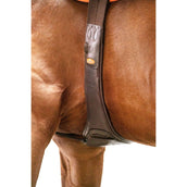 Schockemöhle Sangle Portland Espresso/Argent Schockemöhle Sangle Portland Espresso/Argent