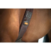 Schockemöhle Sangle Oklahoma Espresso/Argent Schockemöhle Sangle Oklahoma Espresso/Argent