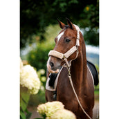 Schockemöhle Licol SP Melbourne Soft Style Pale Pink Schockemöhle Licol SP Melbourne Soft Style Pale Pink