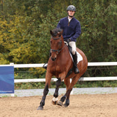 Aubrion by Shires Pull Original Fleece Hommes Marin Aubrion by Shires Pull Original Fleece Hommes Marin