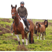 Aubrion by Shires Pull Heritage Fleece Olive foncé Aubrion by Shires Pull Heritage Fleece Olive foncé