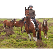 Aubrion by Shires Pull Heritage Fleece Olive foncé Aubrion by Shires Pull Heritage Fleece Olive foncé