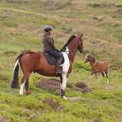 Aubrion by Shires Pull Heritage Fleece Olive foncé Aubrion by Shires Pull Heritage Fleece Olive foncé