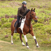 Aubrion by Shires Pullover Heritage Olive foncé Aubrion by Shires Pullover Heritage Olive foncé