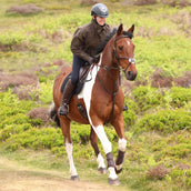 Aubrion by Shires Pullover Heritage Olive foncé Aubrion by Shires Pullover Heritage Olive foncé