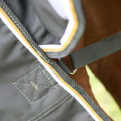 Highlander Plus Couverture Imperméable Turnout 50g Vert Highlander Plus Couverture Imperméable Turnout 50g Vert