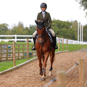 Aubrion by Shires Veste de Concours Saratoga Spruce Vert Check Aubrion by Shires Veste de Concours Saratoga Spruce Vert Check
