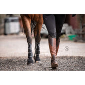 Stübben Equi Compress Set Jambes Avant Stübben Equi Compress Set Jambes Avant