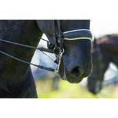 Trust Mors de Dressage Sweet Iron Weymouth Fixed low Port 16mm Trust Mors de Dressage Sweet Iron Weymouth Fixed low Port 16mm