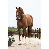 Trust Pessoa Mors de Filet Inno Sense 2,5 Ring Flexi Soft 15mm Trust Pessoa Mors de Filet Inno Sense 2,5 Ring Flexi Soft 15mm