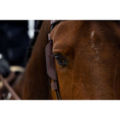 Trust Blinker Marron Trust Blinker Marron