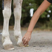 Unique-horn Hoof Wax Repair Jaune Unique-horn Hoof Wax Repair Jaune