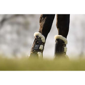 Veredus Protèges-Tendons Carbon Gel Absolute Save the Sheep Front Marron Veredus Protèges-Tendons Carbon Gel Absolute Save the Sheep Front Marron