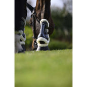 Veredus Protèges-Tendons Carbon Gel Absolute Save the Sheep Front Noir Veredus Protèges-Tendons Carbon Gel Absolute Save the Sheep Front Noir