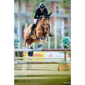 Veredus Bombe Vita Visiére Large Noir Laqué Veredus Bombe Vita Visiére Large Noir Laqué