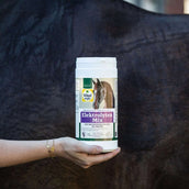 Vitalstyle Mélange d'Électrolytes Cheval Vitalstyle Mélange d'Électrolytes Cheval